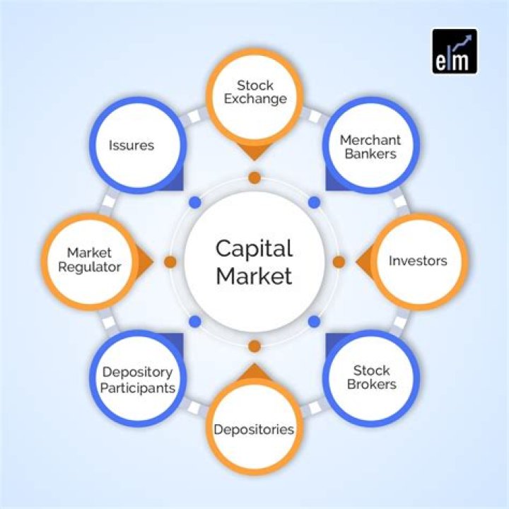 Who benefits from capital markets?