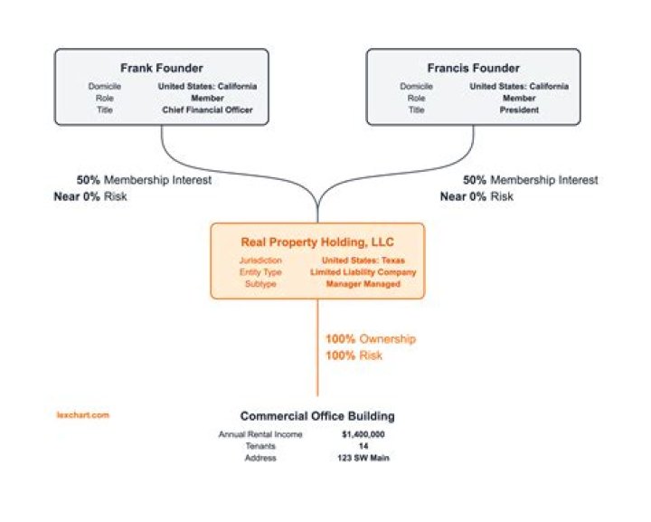 Who is the owner of a LLC LLC?