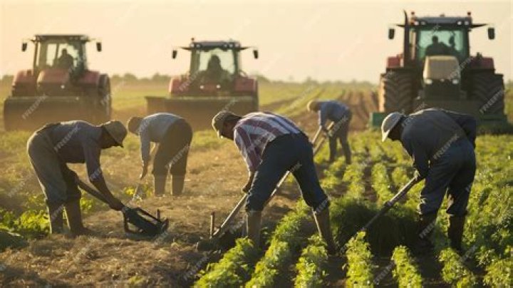 Who worked as a farmer in the agriculture field?