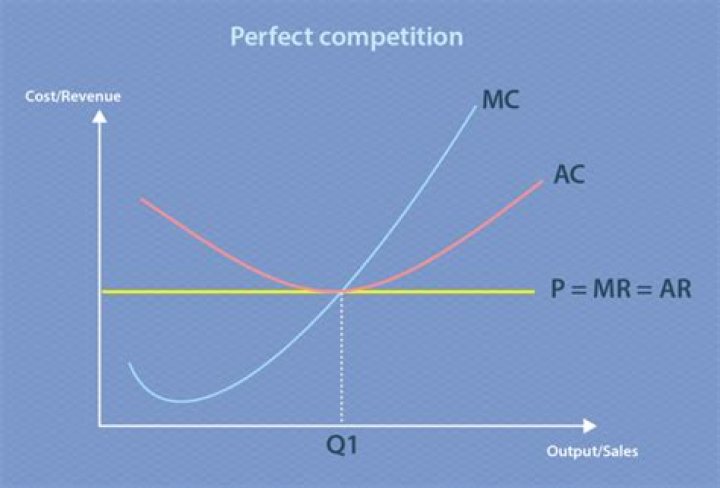 Why price is equal to marginal cost in perfect competition?
